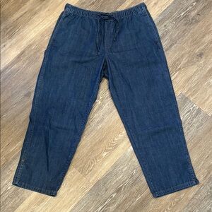 Banana Republic Women’s Relaxed Drawstring Jeans in Dark Blue